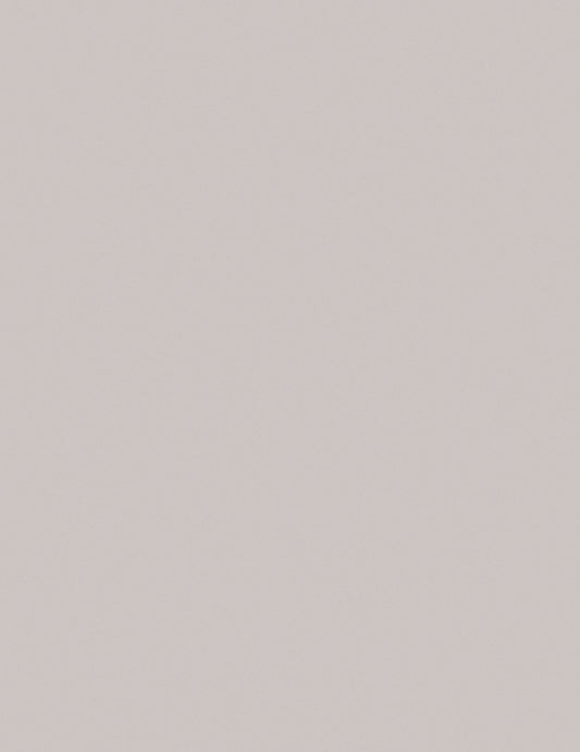 LAMITECH POSTFORMABLE MATE 1.22m X 2.44m 0.8mm