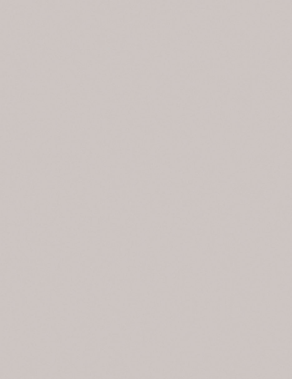 LAMITECH POSTFORMABLE MATE 1.22m X 2.44m 0.8mm